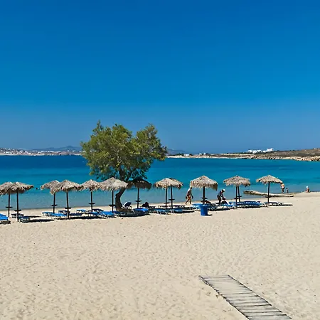Omilos Beachfront House מלון